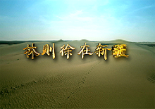 【天佑艺阁】记录片《林则徐在新疆》